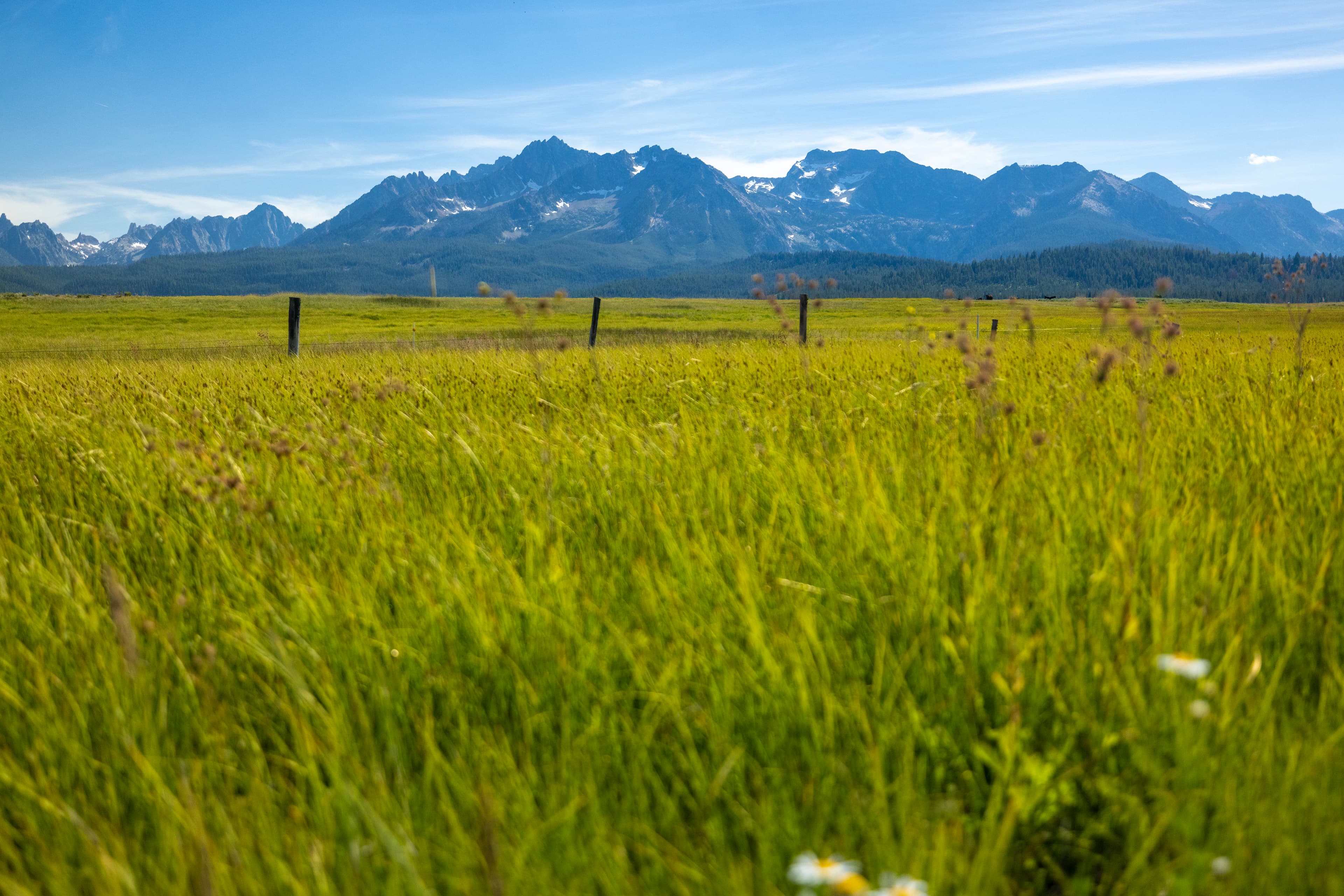 Sawtooth Mountains, Stanley