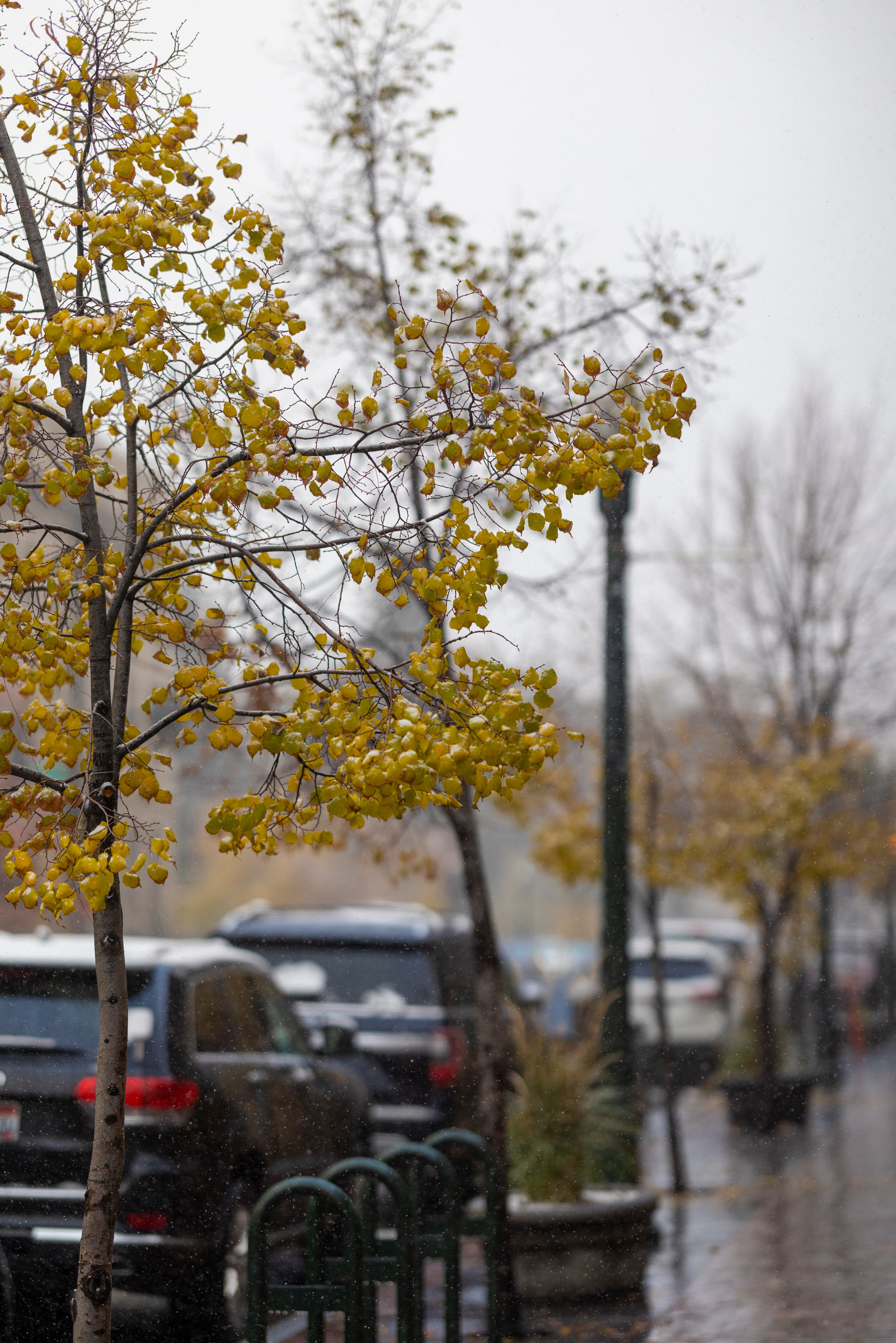 Fall Boise Downtown Snow