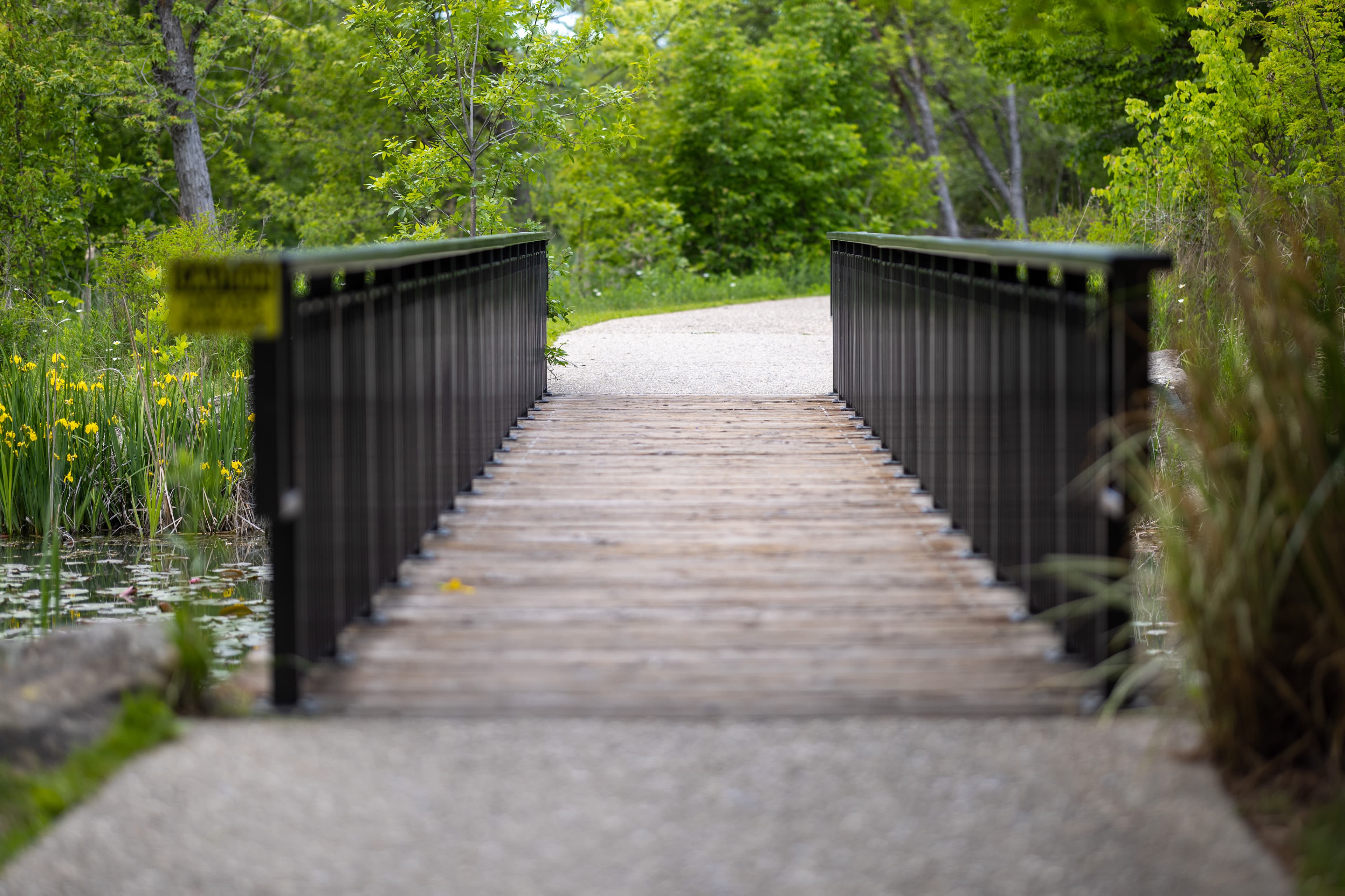 Kathryn Albertson Park