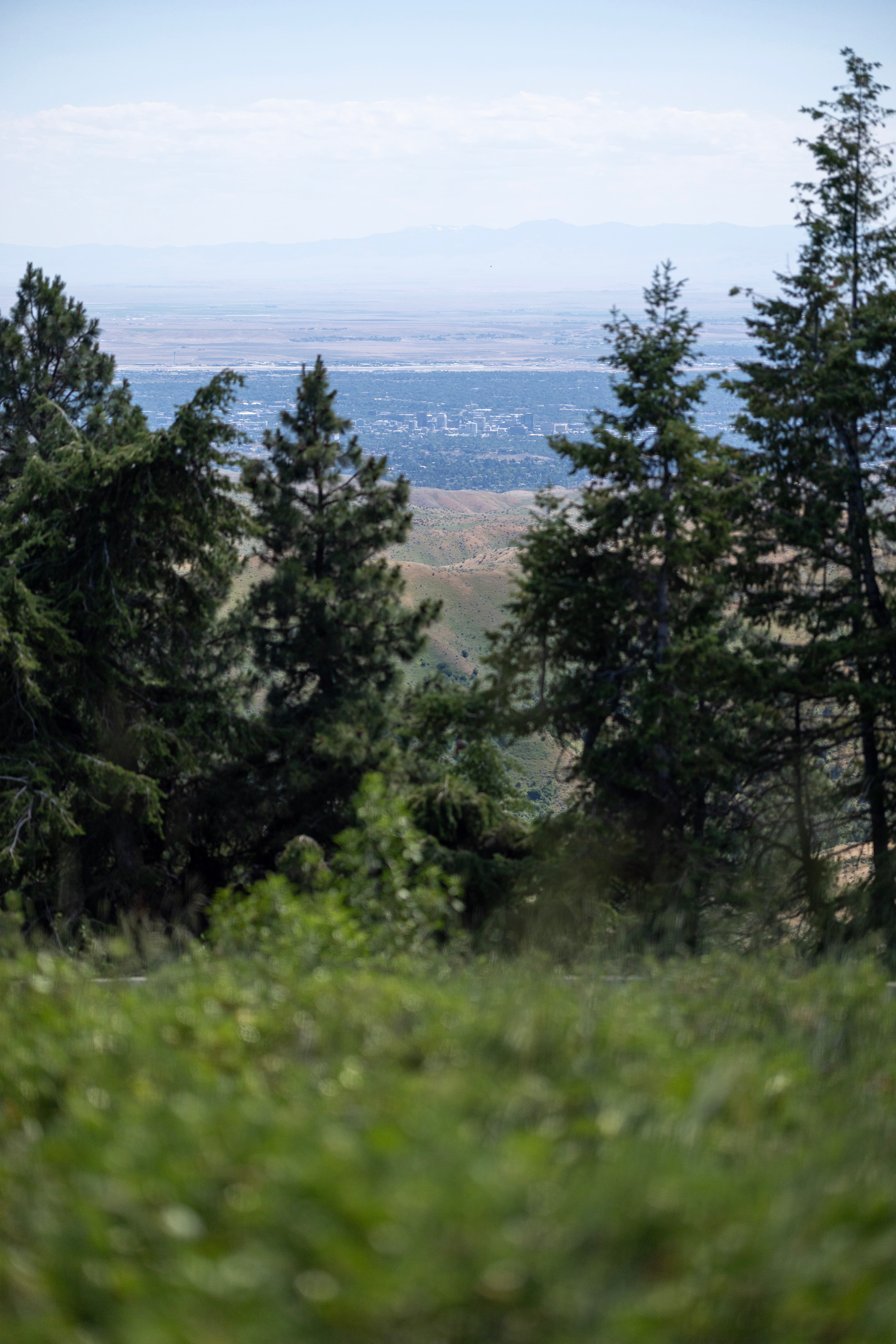Freddy's Stack Rock Trail View