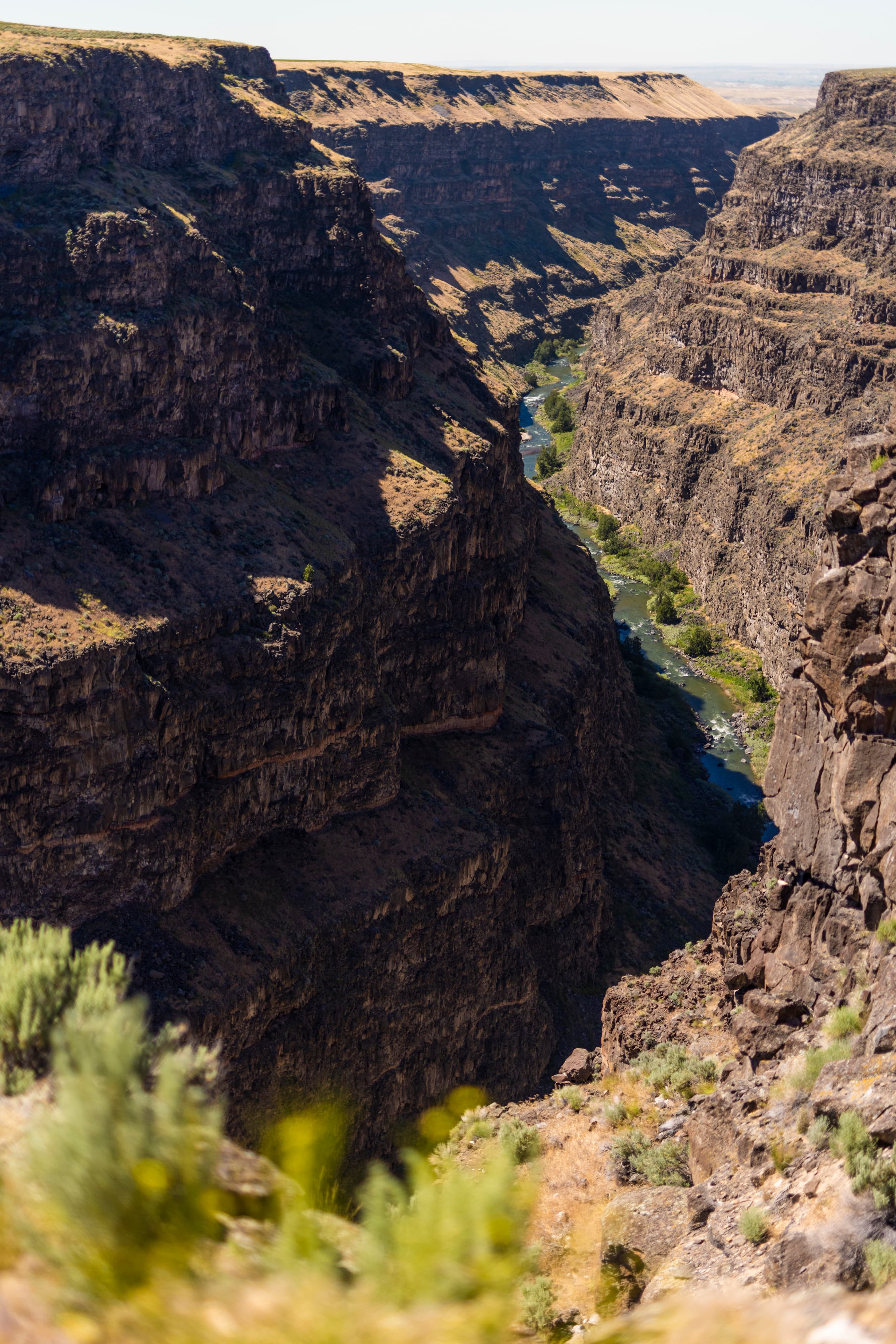 View over Bruneau Canyon