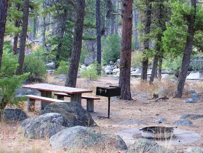 Ponderosa