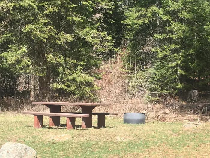 Cabin Creek
