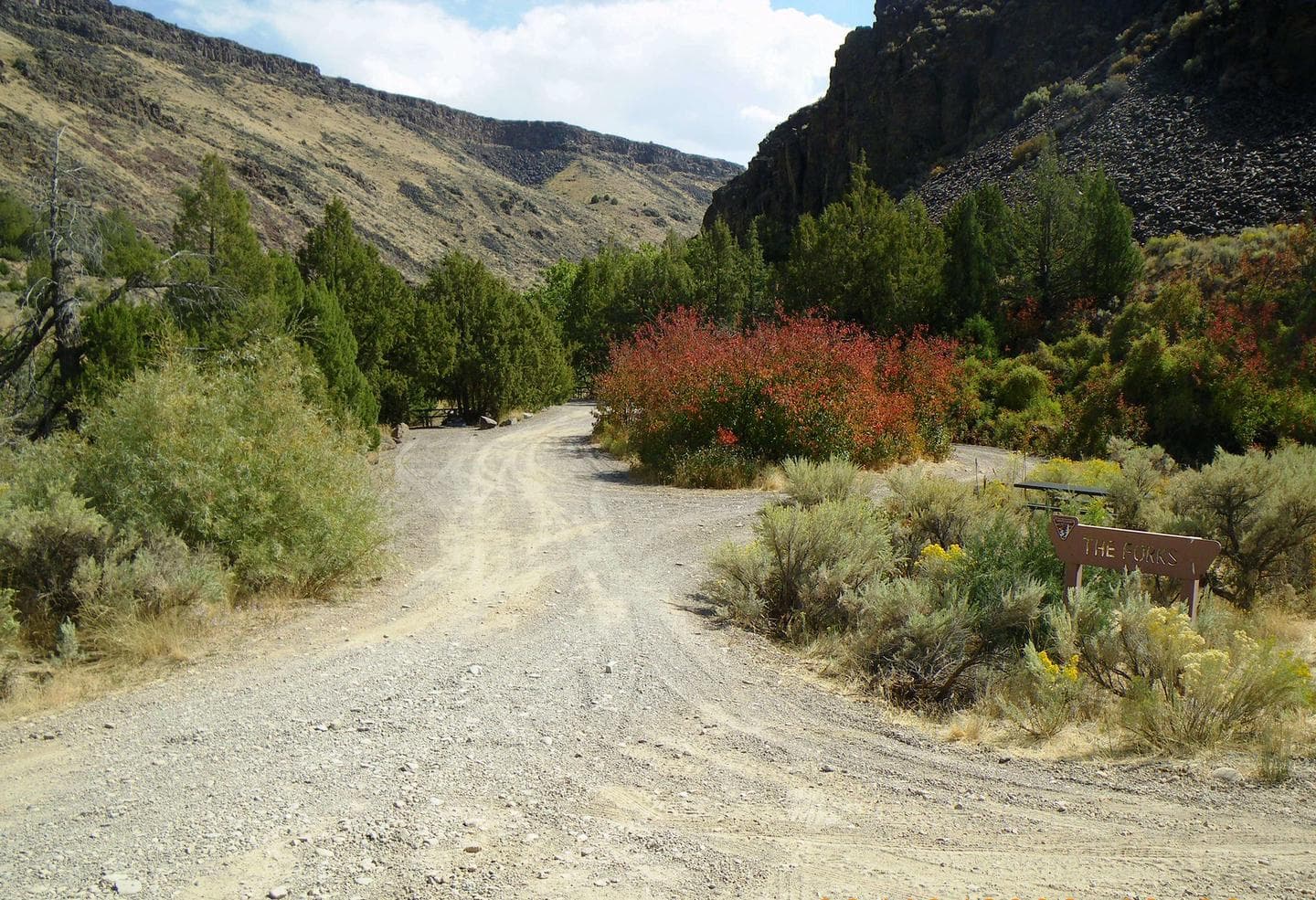 The Forks Campground
