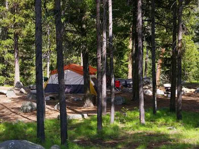 PICNIC POINT (ID)