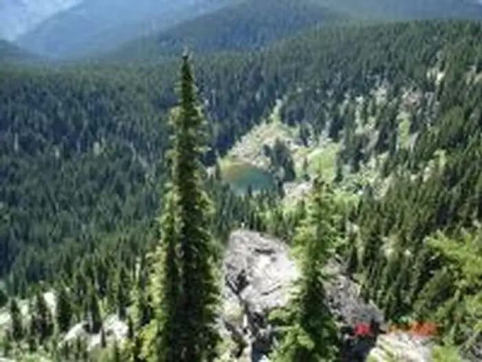 Cold Springs Peak Cabin - Clearwater NF (ID)
